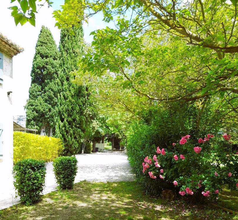 Le Mas Des Vergers Salon-de-Provence Zewnętrze zdjęcie